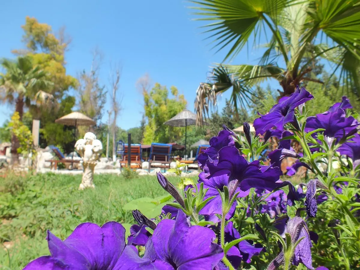 *****  Utopia Lodge Hotel Oludeniz Turkey