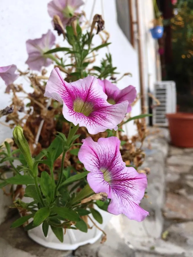 Utopia Lodge Hotel Oludeniz